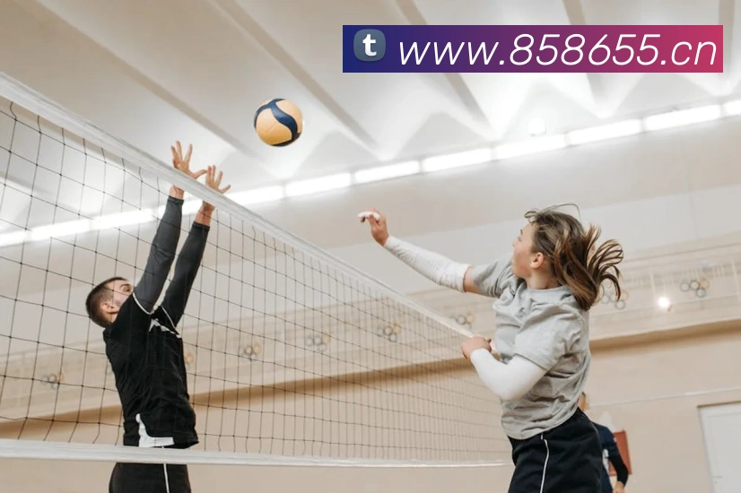 开云官方手机版服务体系